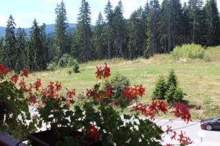 IN Hotel Zlatar ex Zlatarski Biseri - Nova Varoš - 2