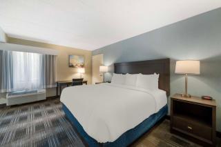 Best Western Plus Alexandria Fort Belvoir - Alexandria - 7