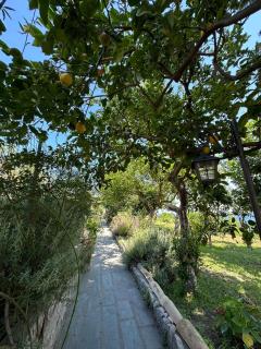 Depandance Casa Paolina - Capri - 8