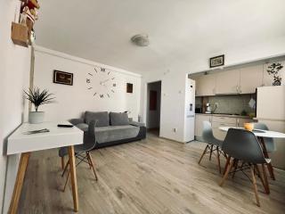 Lucas’s cozy apartment - Cluj-Napoca - 0