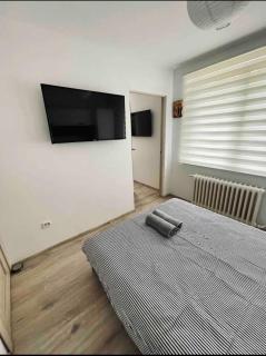 Lucas’s cozy apartment - Cluj-Napoca - 1