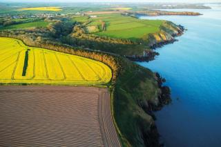 Caradog - 1 Bedroom - St Ishmaels - 1