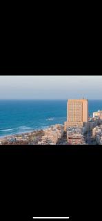 תמר על הים - Bat Yam - 3