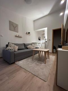 Apartmán U Potoka - Dolní Morava - 0