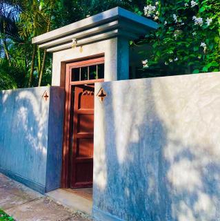 More Joy - Matara - 8