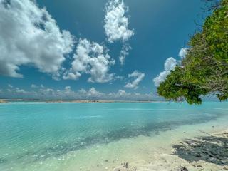 Infinite Lagoon - 2