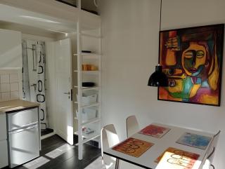 Professor Labri Apartments - Odense - 3