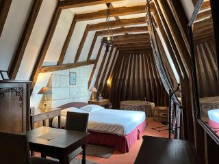 Chateau de Chissay, hôtel de charme prés de Chenonceau et le zoo de Beauval - Chissay-en-Touraine - 6