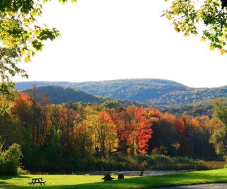 Hampton Inn & Suites Berkshires-Lenox - Lenox - 7