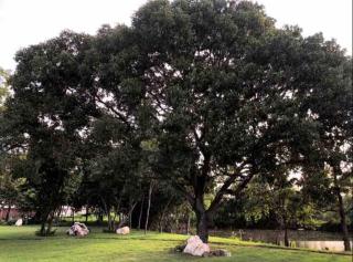 Premium space in Santiago- 5 Min Away from airport - 5