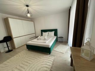QualisApartmentBV - Brasov - 8