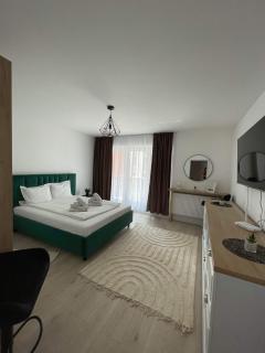 QualisApartmentBV - Brasov - 6