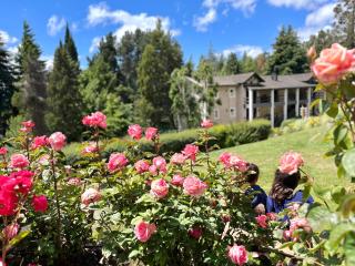 Aldea Andina Hotel&Spa - San Carlos de Bariloche - 5