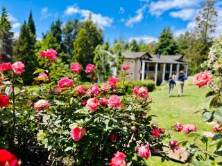 Aldea Andina Hotel&Spa - San Carlos de Bariloche - 8