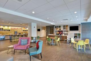 Home2 Suites By Hilton Tampa USF Near Busch Gardens - Tampa - 6