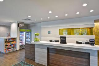 Home2 Suites By Hilton Tampa USF Near Busch Gardens - Tampa - 3