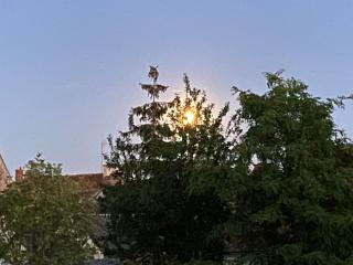 Villa Christine Chambre Rose - Marchenoir - 9