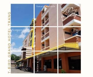 T-Bird Grand Hotel Trang ทีเบิร์ดแกรนด์ - Trang - 9