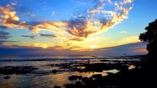 DOWNTOWN HAWAIIAN PARADISE CONDO with Hot Tub, Pool & Beach - Kona Islander Inn - Kailua-Kona - 5