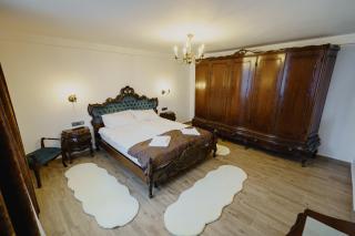 CASA BARONULUI - Baia Mare - 9