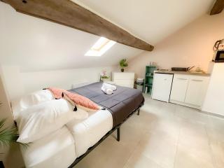 Appartement Cerf4-Centre ville Meaux-Gare-Disney - Meaux - 3