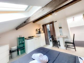 Appartement Cerf4-Centre ville Meaux-Gare-Disney - Meaux - 6
