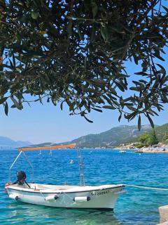 Orange Tree Mediterranean Beachfront House - Neum - 4