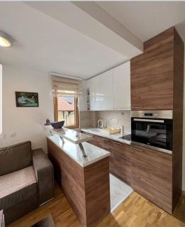 Apartmani Sanja Lux - Zlatibor - 8