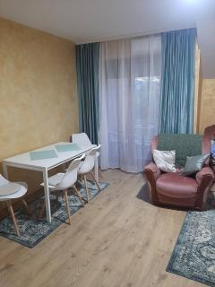 Apartman Mirjana - Vrnjačka Banja - 7