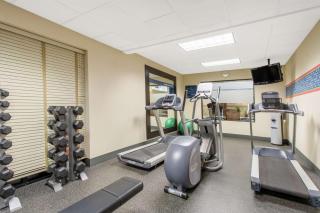 Hampton Inn & Suites Albany-Airport - Latham - 3
