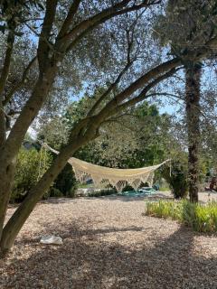 Tenuta Dei Vicini - Luxury Apartments - San Marzano Oliveto - 3