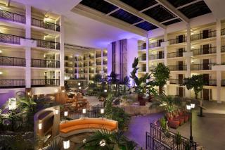 Embassy Suites by Hilton Piscataway Somerset - 5