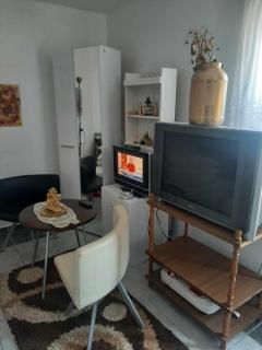 Apartmani Lukic 2 - Banja Koviljača - 5