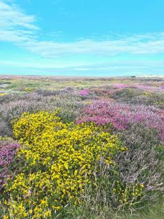 Sea View Fields Trearddur - Holyhead - 3