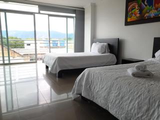 Hotel Andinos Plaza Pitalito - 2