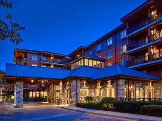 Hilton Garden Inn Gatlinburg - Gatlinburg - 9