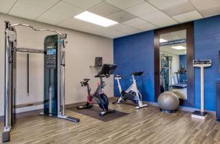 Hampton Inn Cortland - Cortland - 3