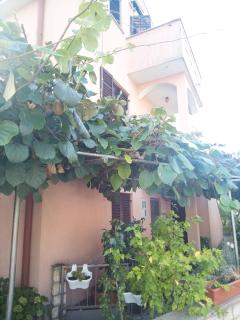 Olimp House M - Rovinj - 2