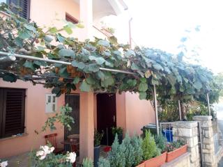 Olimp House M - Rovinj - 1