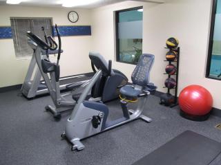 Hampton Inn Birch Run - Birch Run - 5