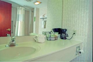Hampton Inn Birch Run - Birch Run - 3