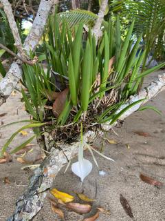 Anda Di Hows Hostel - 6