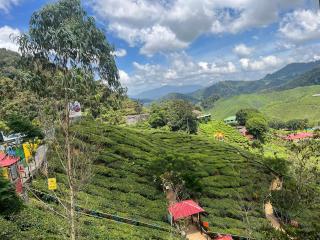 Our Peaceful Homestay - 3