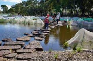 Serene Coastal Haven - 5