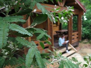 Complejo Rural Huerta Grande - 1