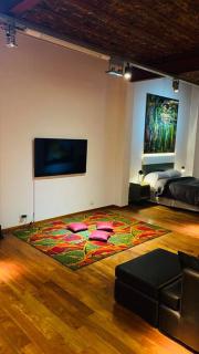 Arts Loft, a estrenar! Buenos Aires - 5