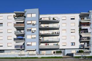 Cute and Cosy apartment - 9