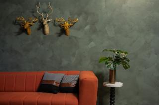 Mossy - Aesthetic 2BHK Apartment - Vagator, Goa By StayMonkey - Vagator - 7
