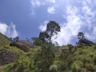 Suryas Home Stay - 1