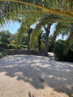 Paradis Provençal - Sainte-Maxime - 1